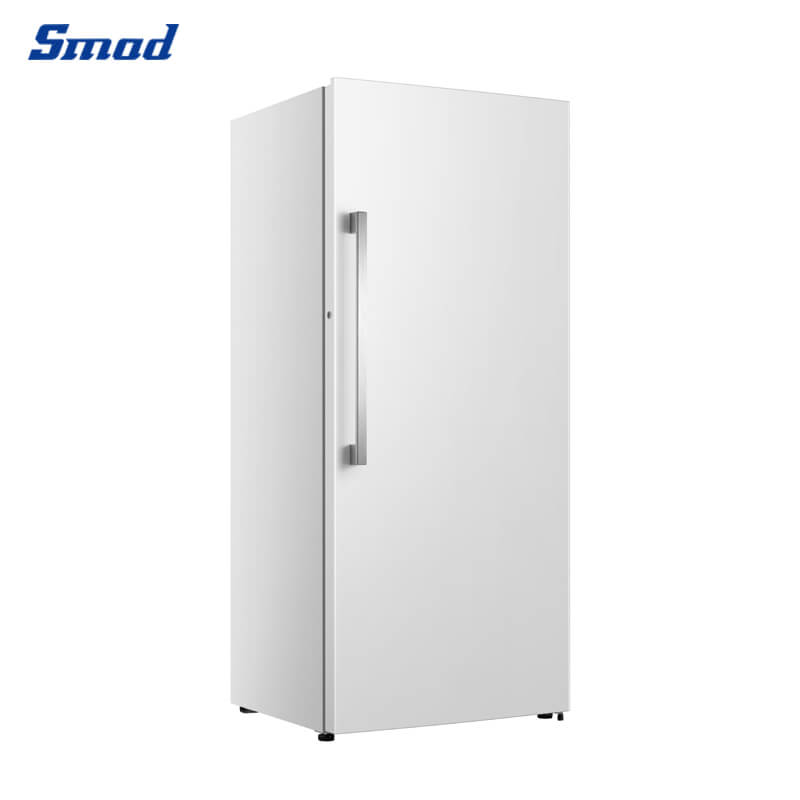 
Smad 21 Cu. Ft. Frost Free Upright Freezer with Electronic control