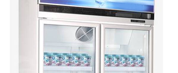 Smad Supermarket 2 Door Upright Plug-in Display Freezer